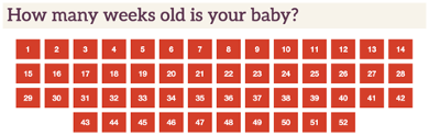 Baby Week By Week