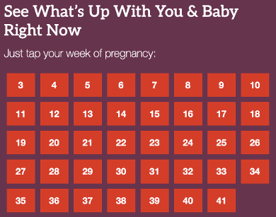 Pregnancy Week By Week